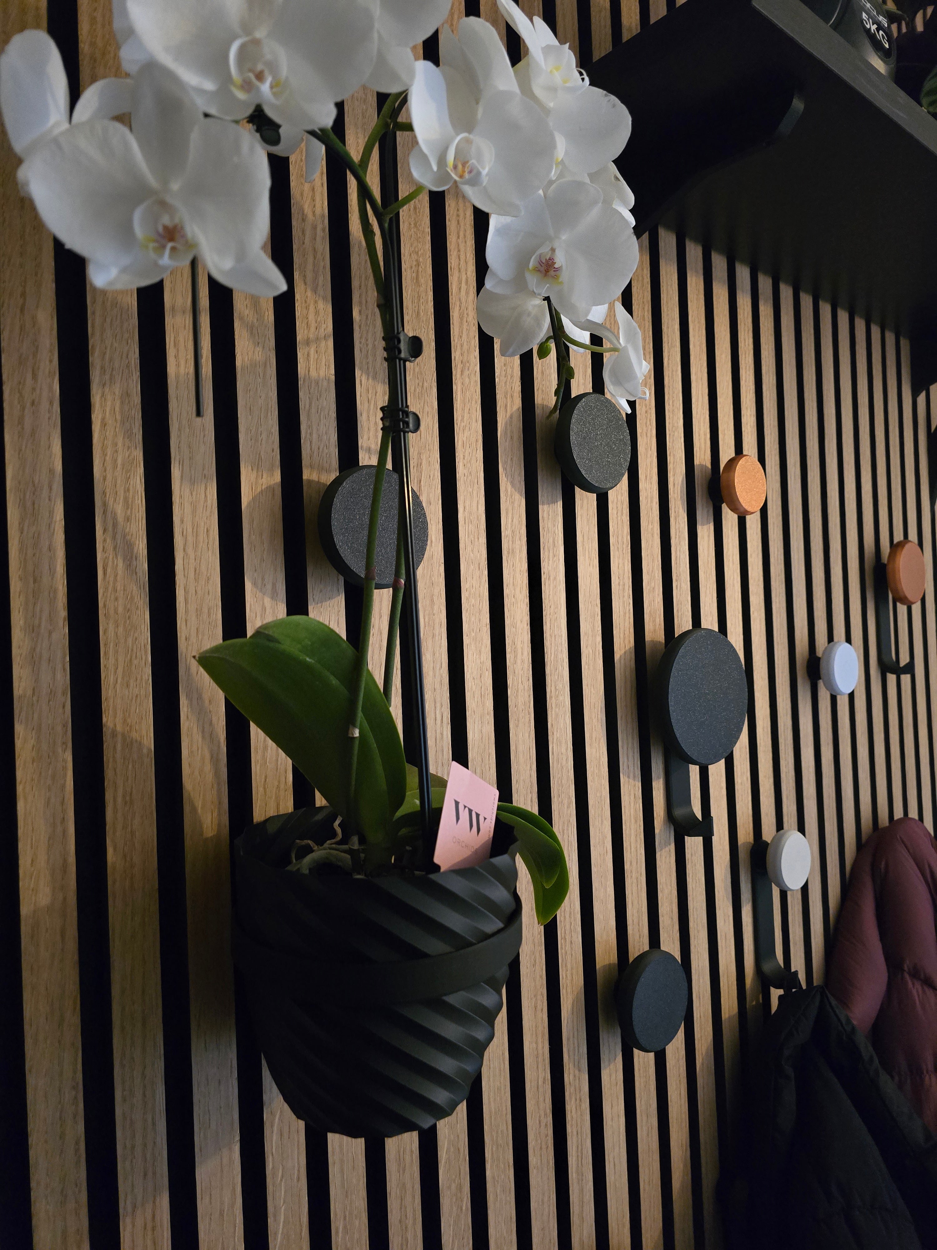 Round Hanger/Hook for Acoustic Panels - Installation type: Wall Clip