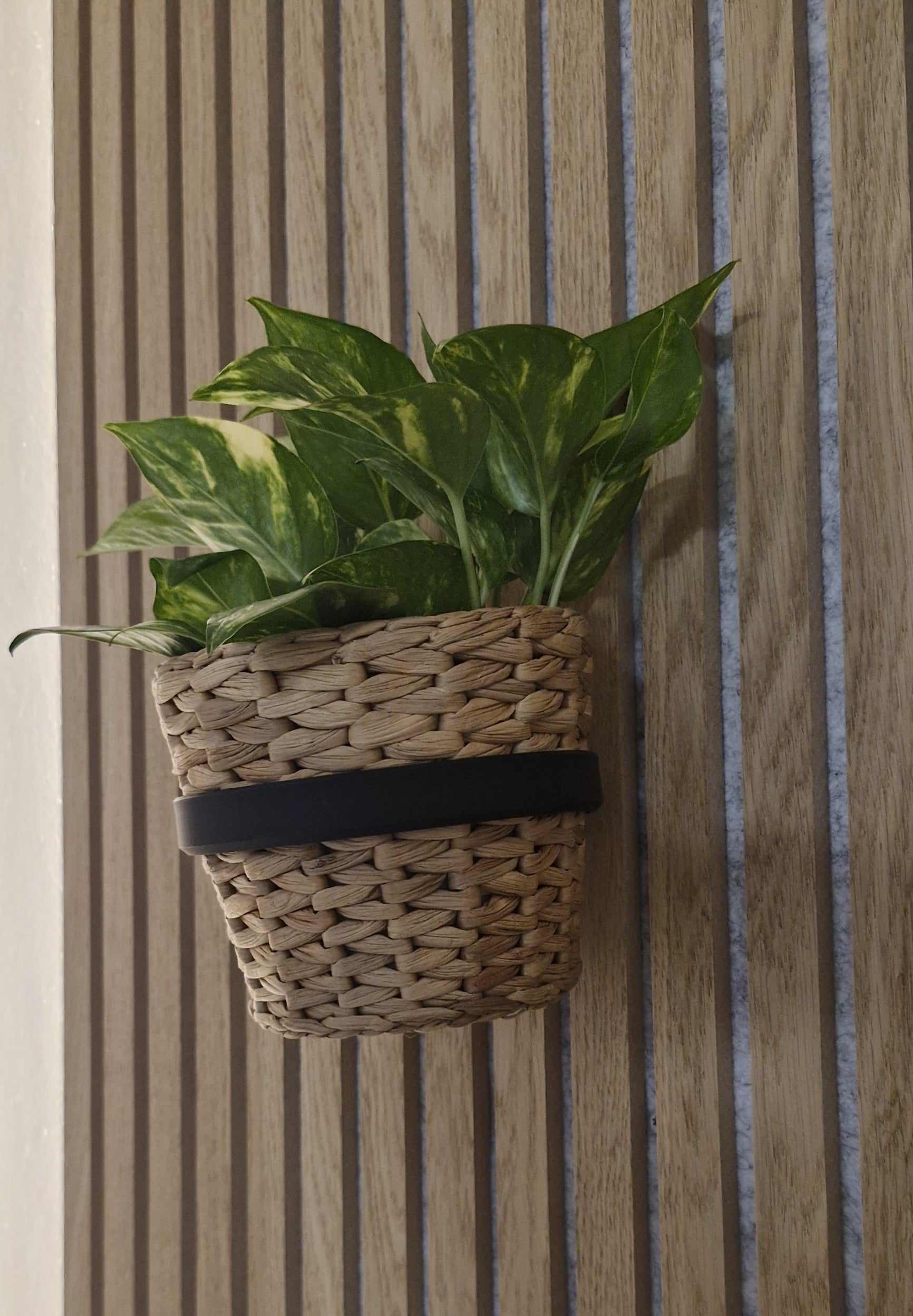 Plant Holder/Ring for Acoustic Panels - Installation Type: Wall Clip